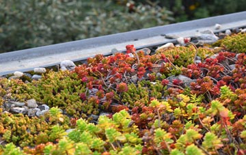 the cost of Surrex green roof installation