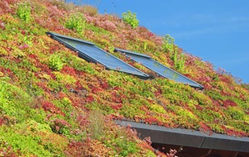 Surrex living roof systems
