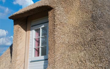 Surrex thatch roof disadvantages
